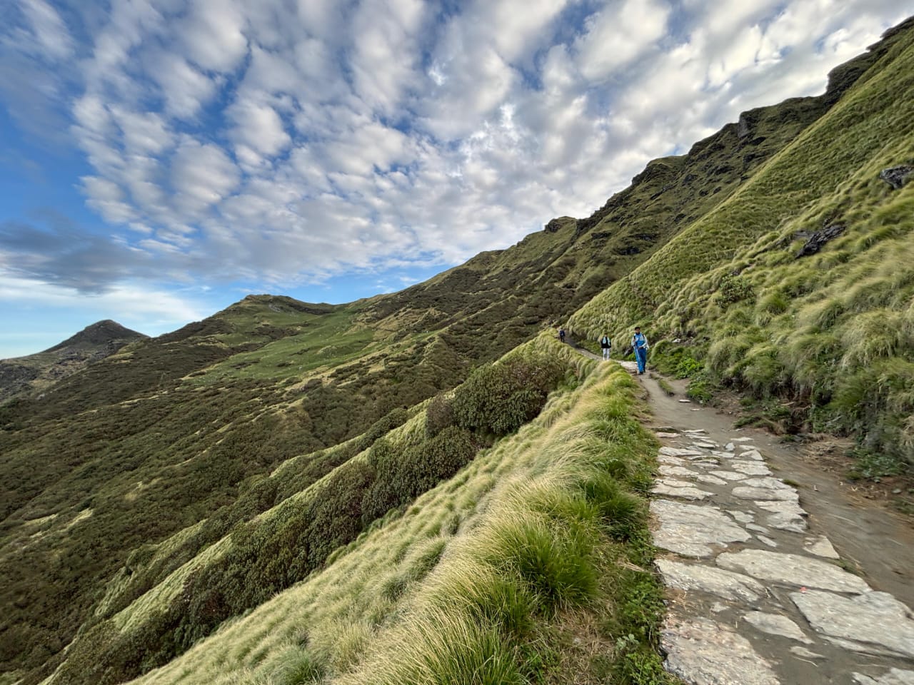 WhatsApp Image 2025-09-28 at 10.00.00 PM