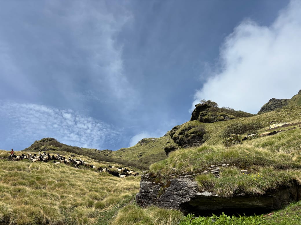 WhatsApp Image 2025-09-28 at 9.59.59 PM (1)