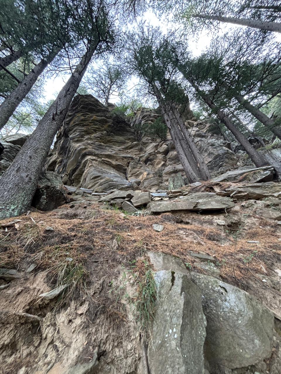 WhatsApp Image 2025-10-12 at 9.15.31 PM (2)