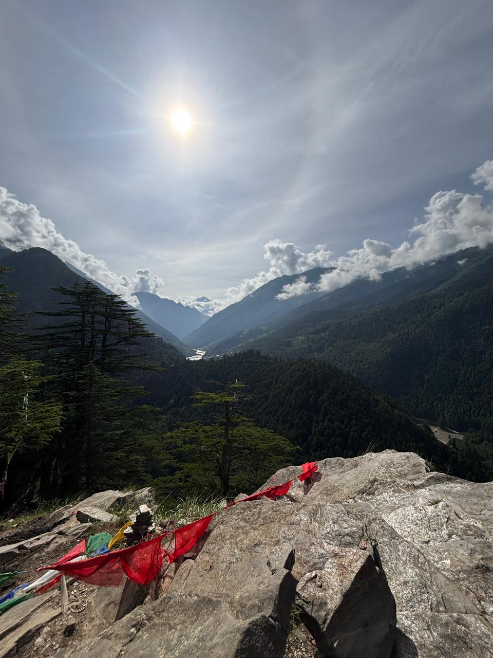 WhatsApp Image 2025-10-12 at 9.15.32 PM